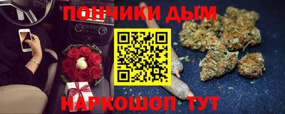 прущие грибы Гусиноозёрск