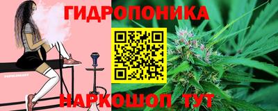 шишки Гусев
