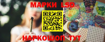 прущие грибы Гусиноозёрск