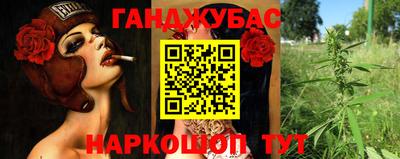 шишки Гусев