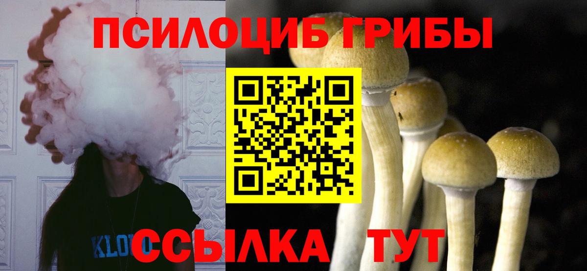 Псилоцибиновые грибы Psilocybe  Псилоцибиновые грибы MAGIC MUSHROOMS  Вход с VPN  Ишим 